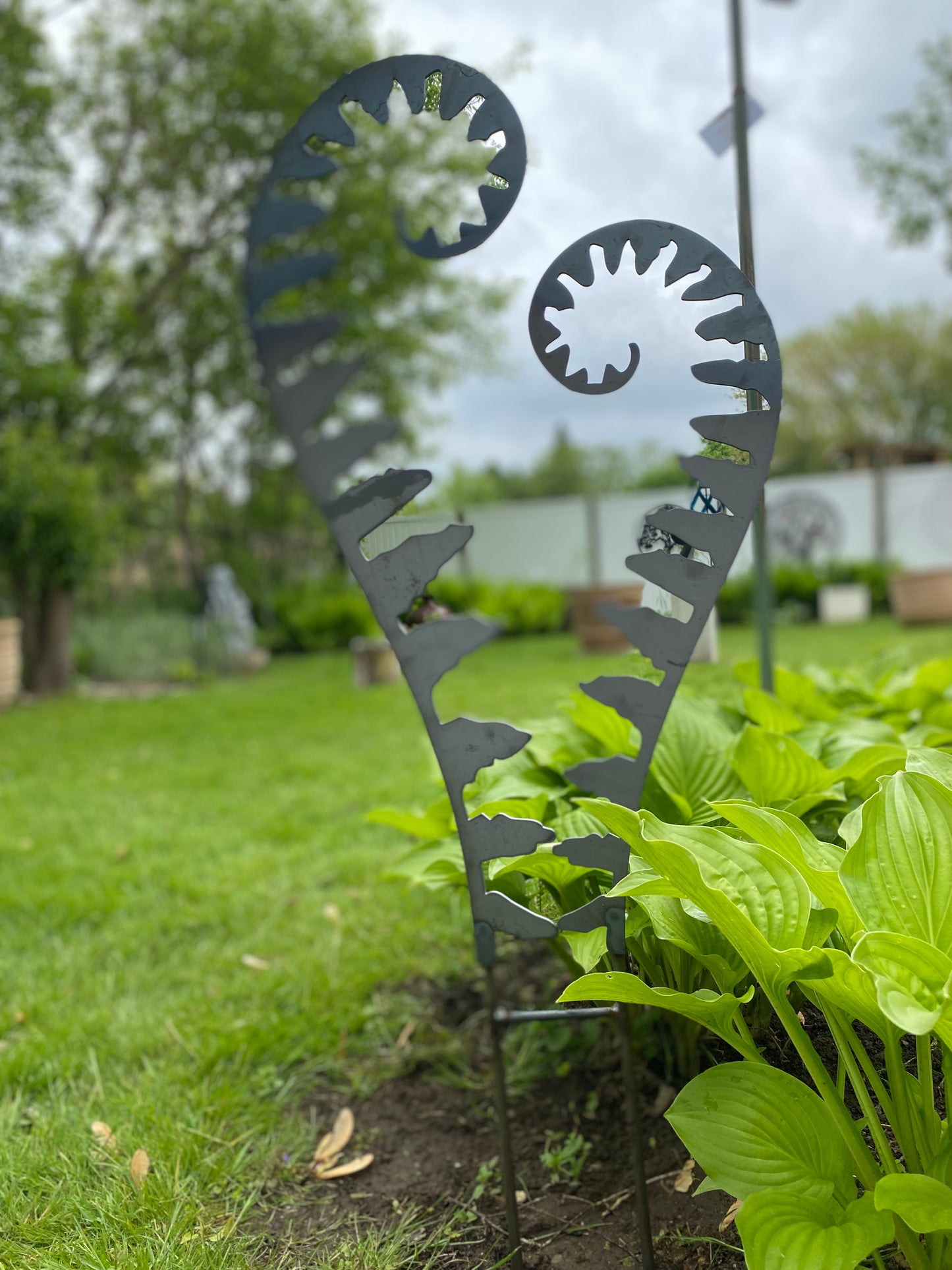 Metal Fiddlehead