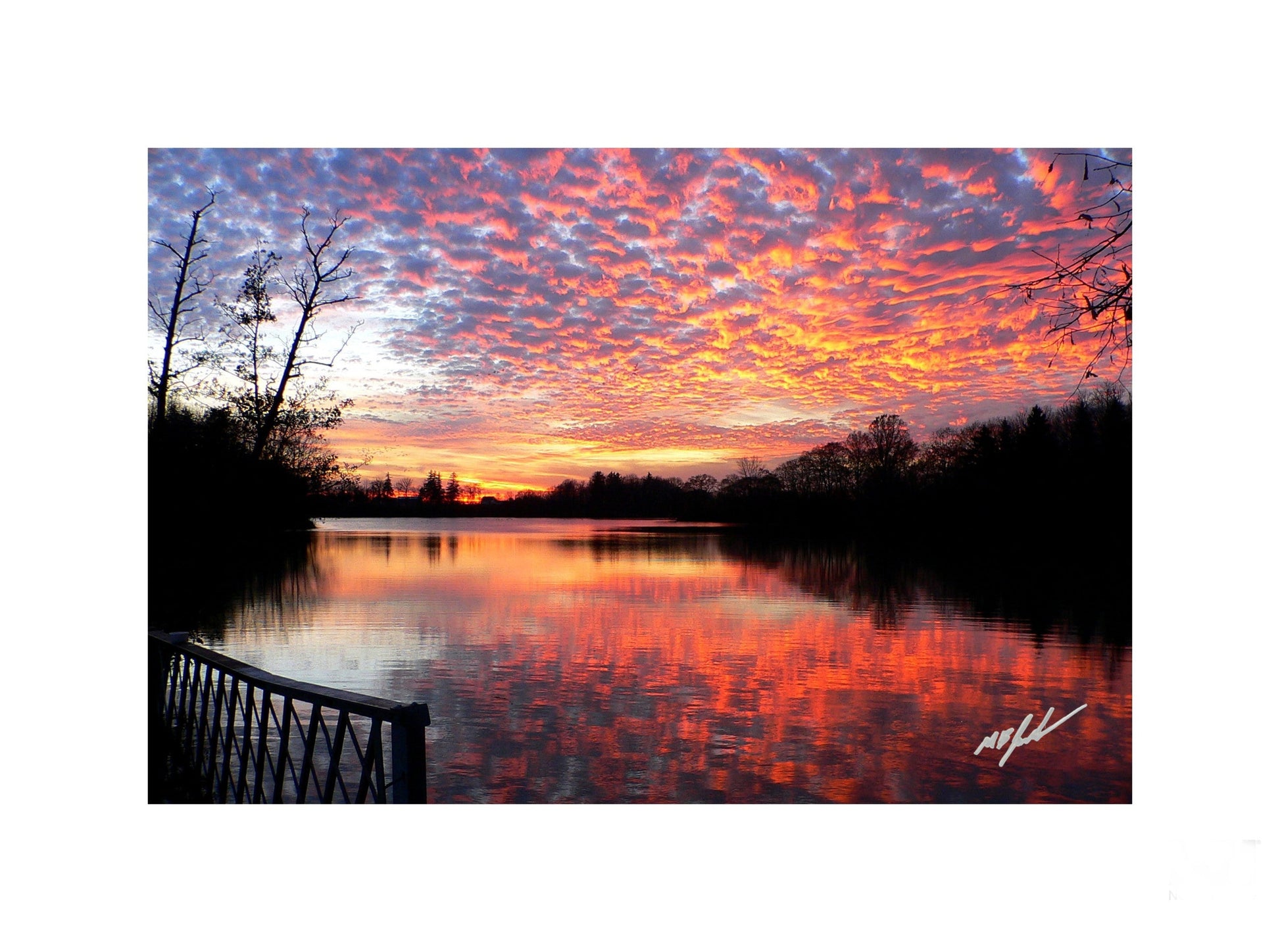 Mackerel Sunset (Lake Gibson)
