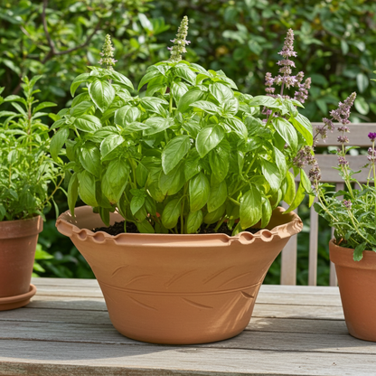Vasiliko Pot – Traditional Handcrafted Cretan Terracotta Basil Planter