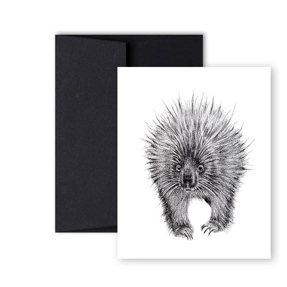 Porcupine Front And Back Greeting Card