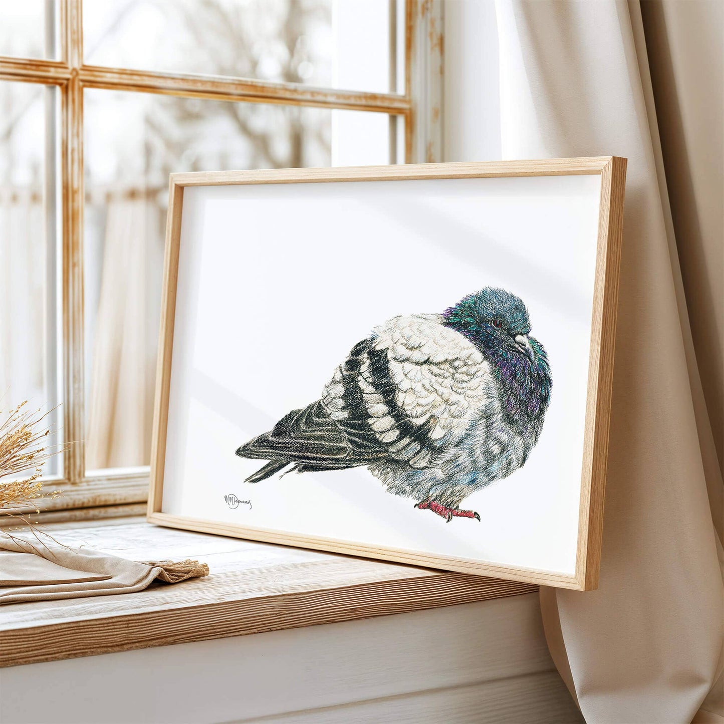Pigeon - Pigeon Illustration Print
