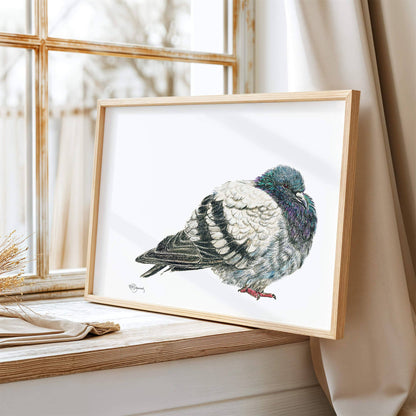 Pigeon - Pigeon Illustration Print