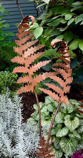 Metal curled fern