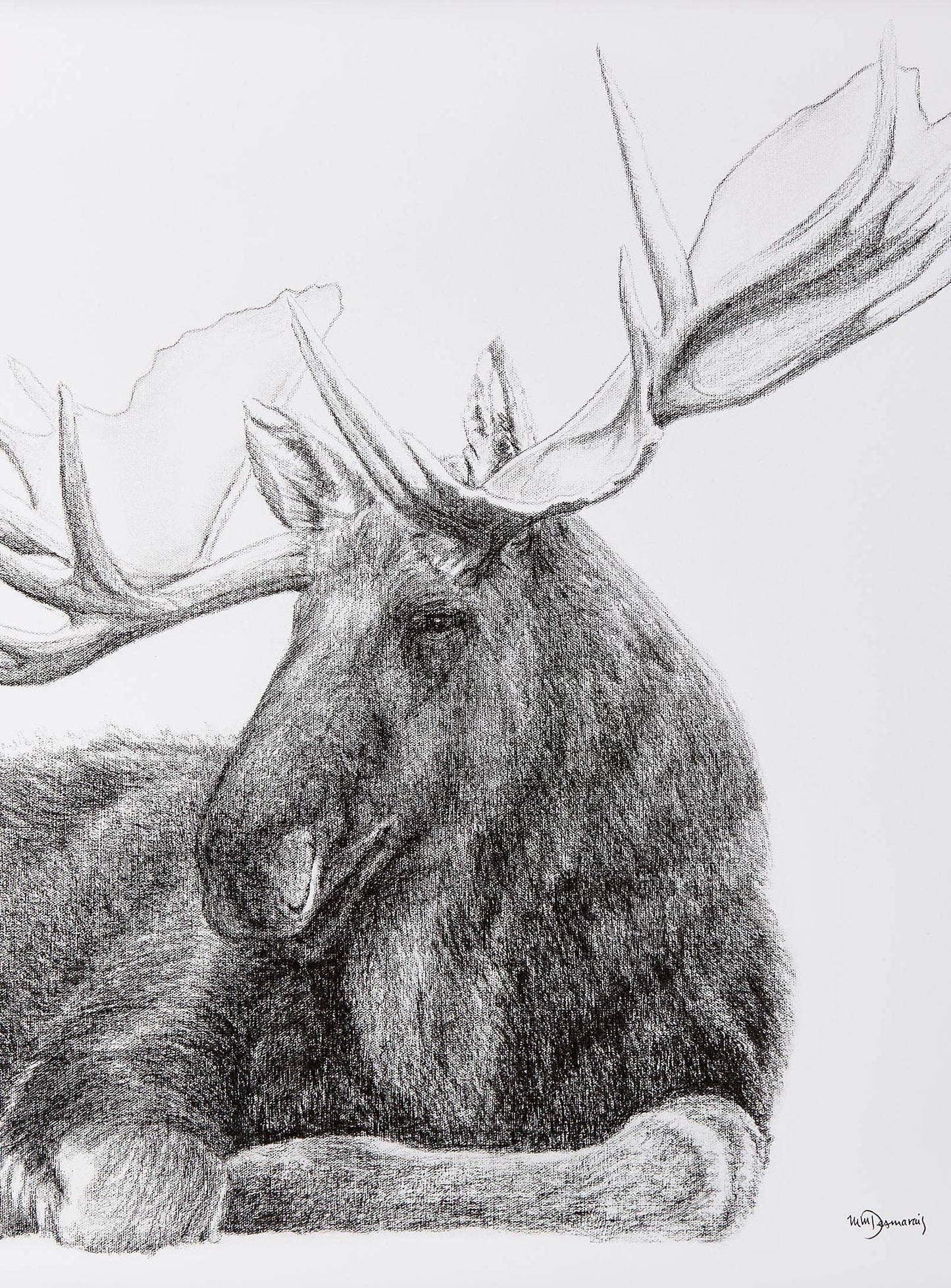 Majestic Moose Print