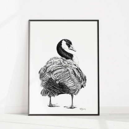 Canada Goose - Canada Goose Illustration Print
