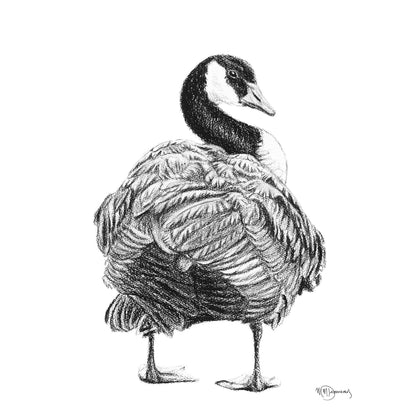 Canada Goose - Canada Goose Illustration Print