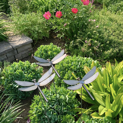 Metal Dragonfly Spray