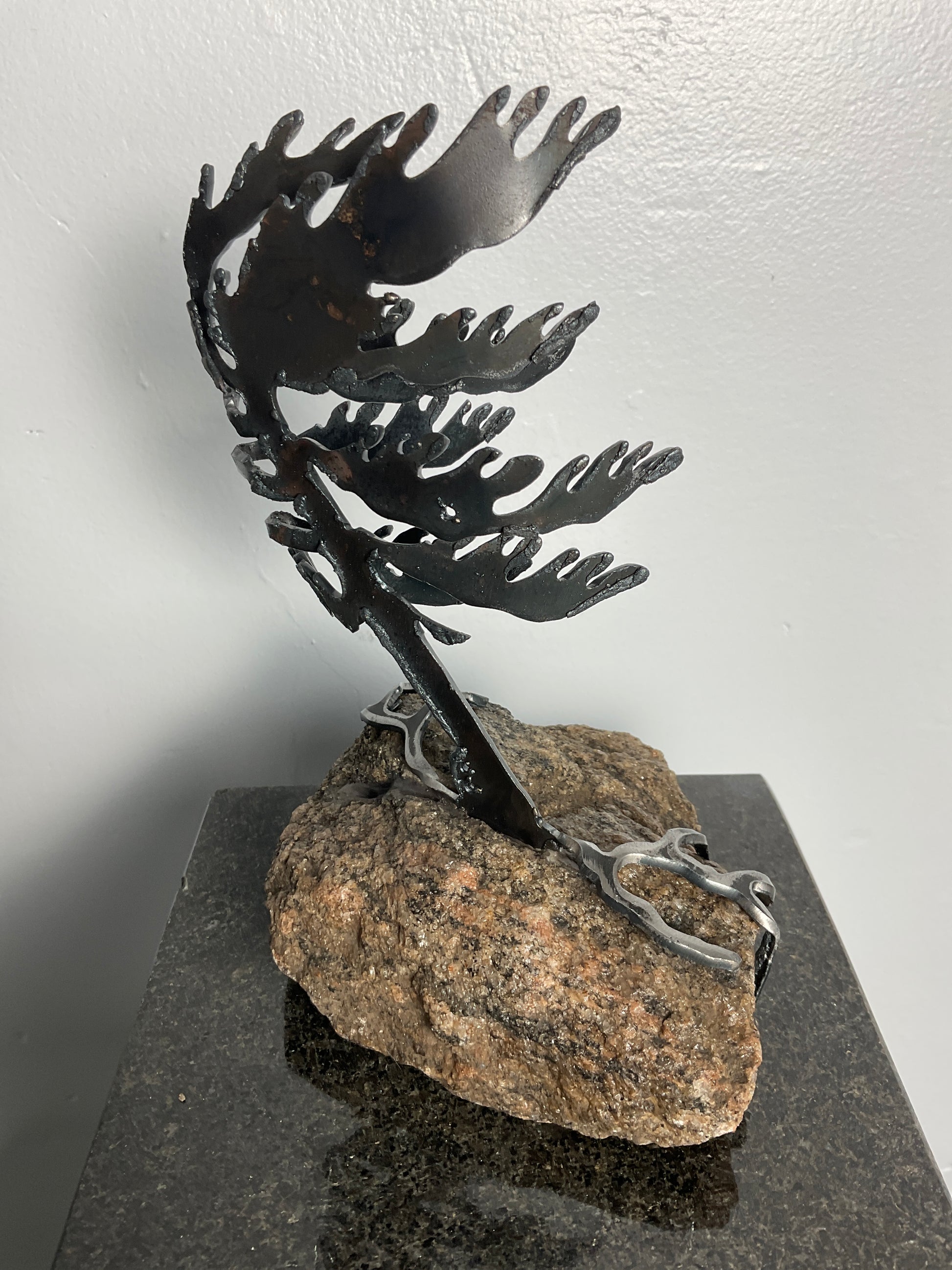 Cathy Mark windswept tree on stone