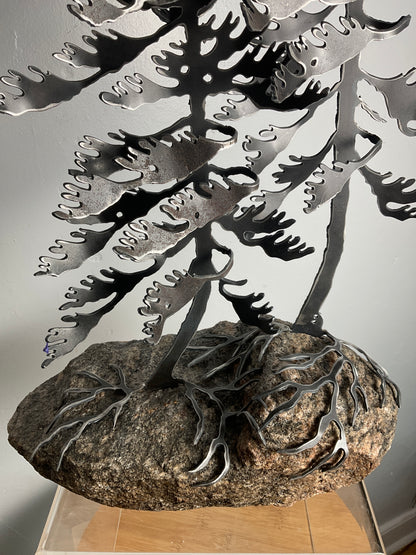 Cathy Mark windswept pines on granite