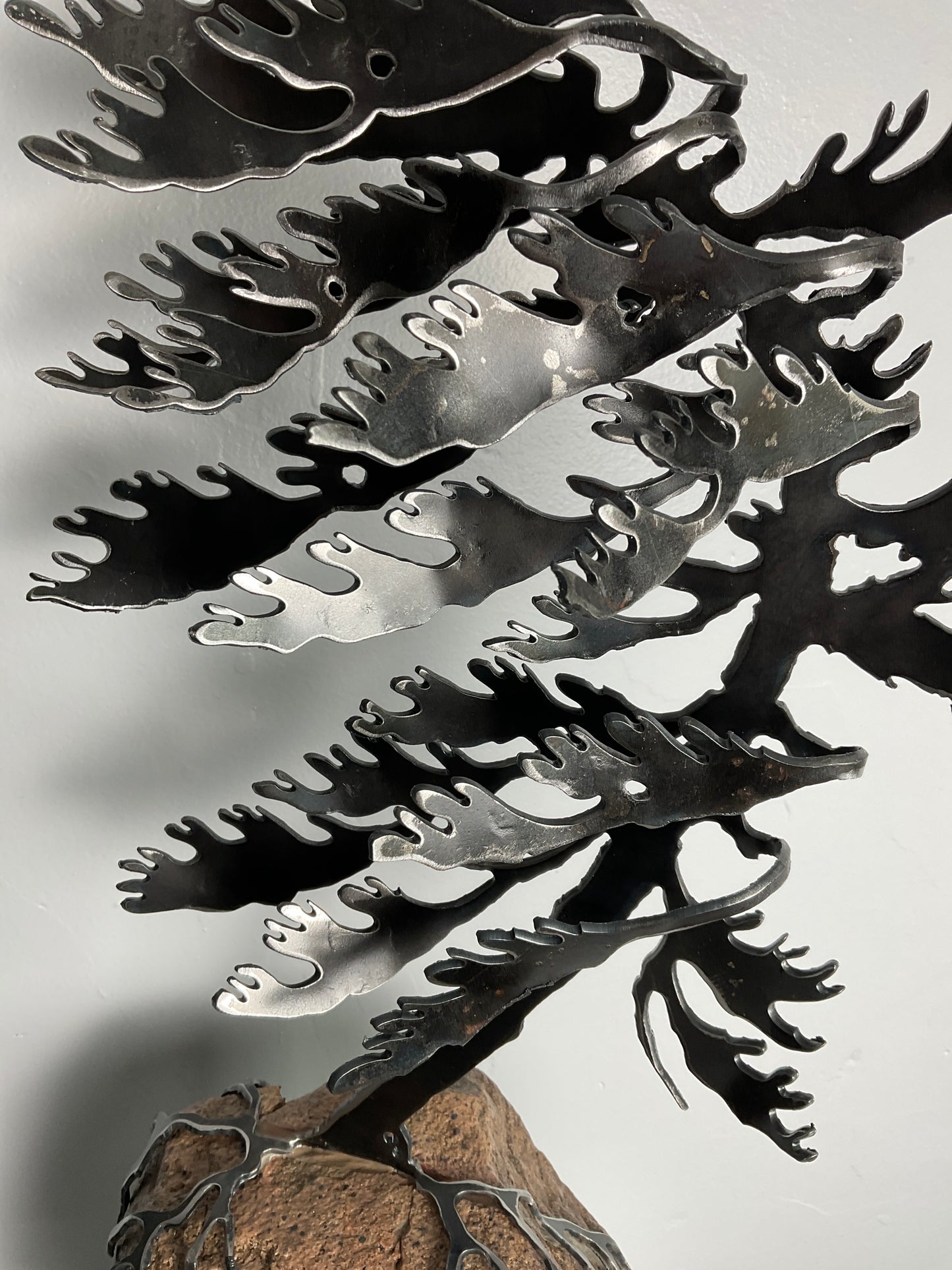 Cathy Mark windswept pine on granite