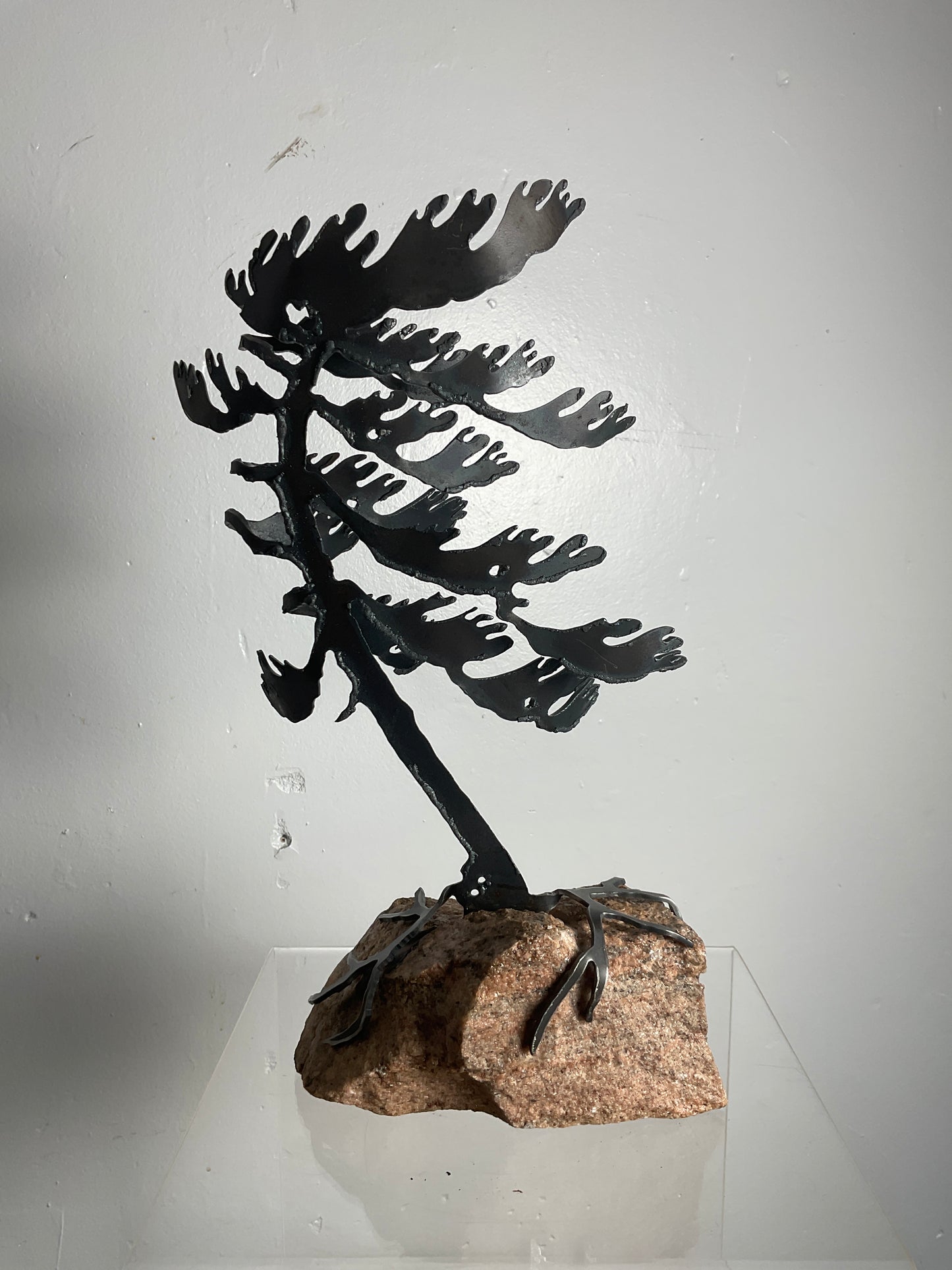 Cathy Mark windswept pine on stone