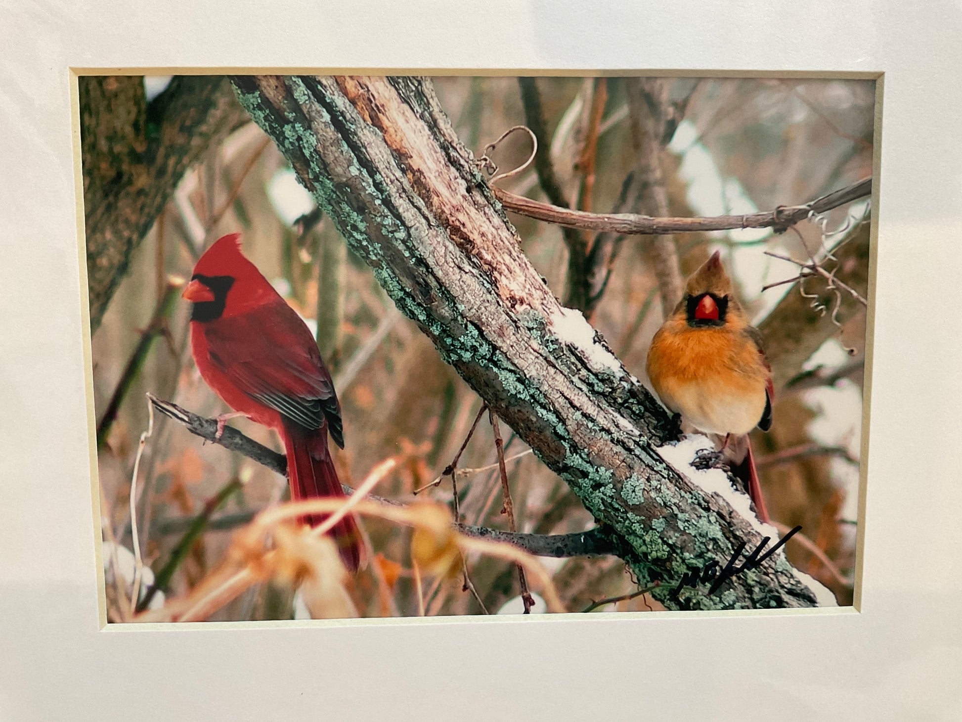 Cardinal Pair