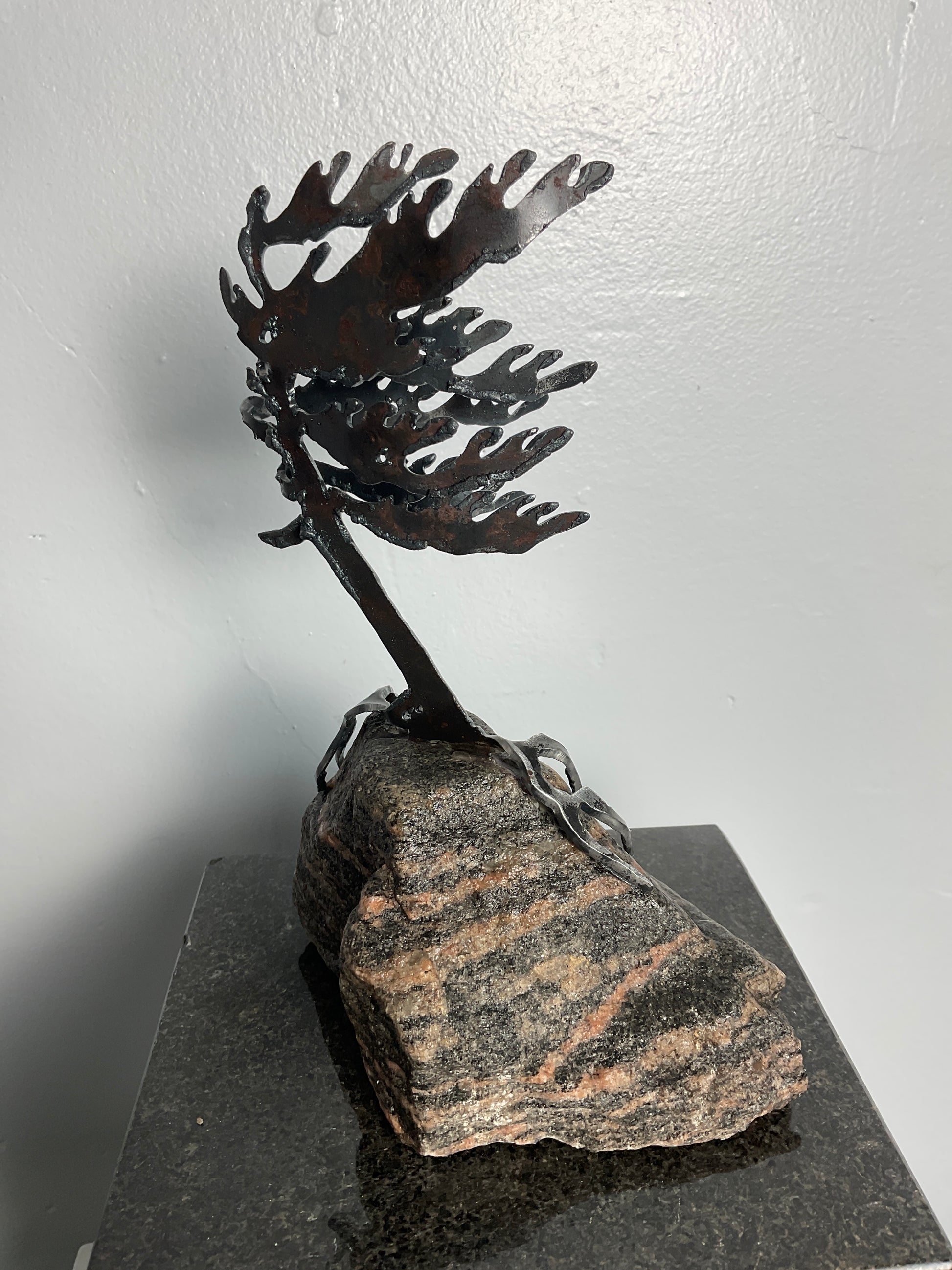 Cathy Mark windswept tree on granite