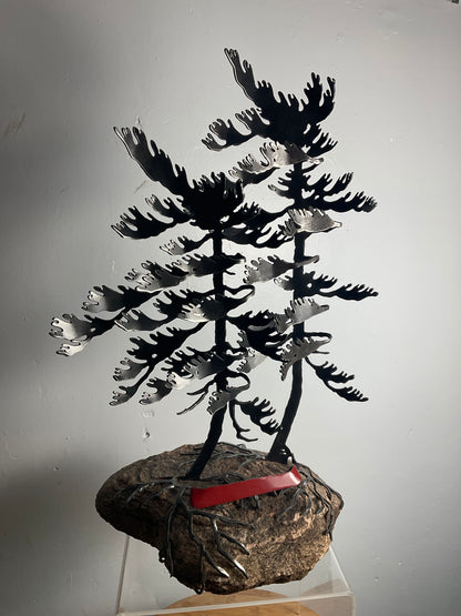 Cathy Mark windswept pines with canoe on granite