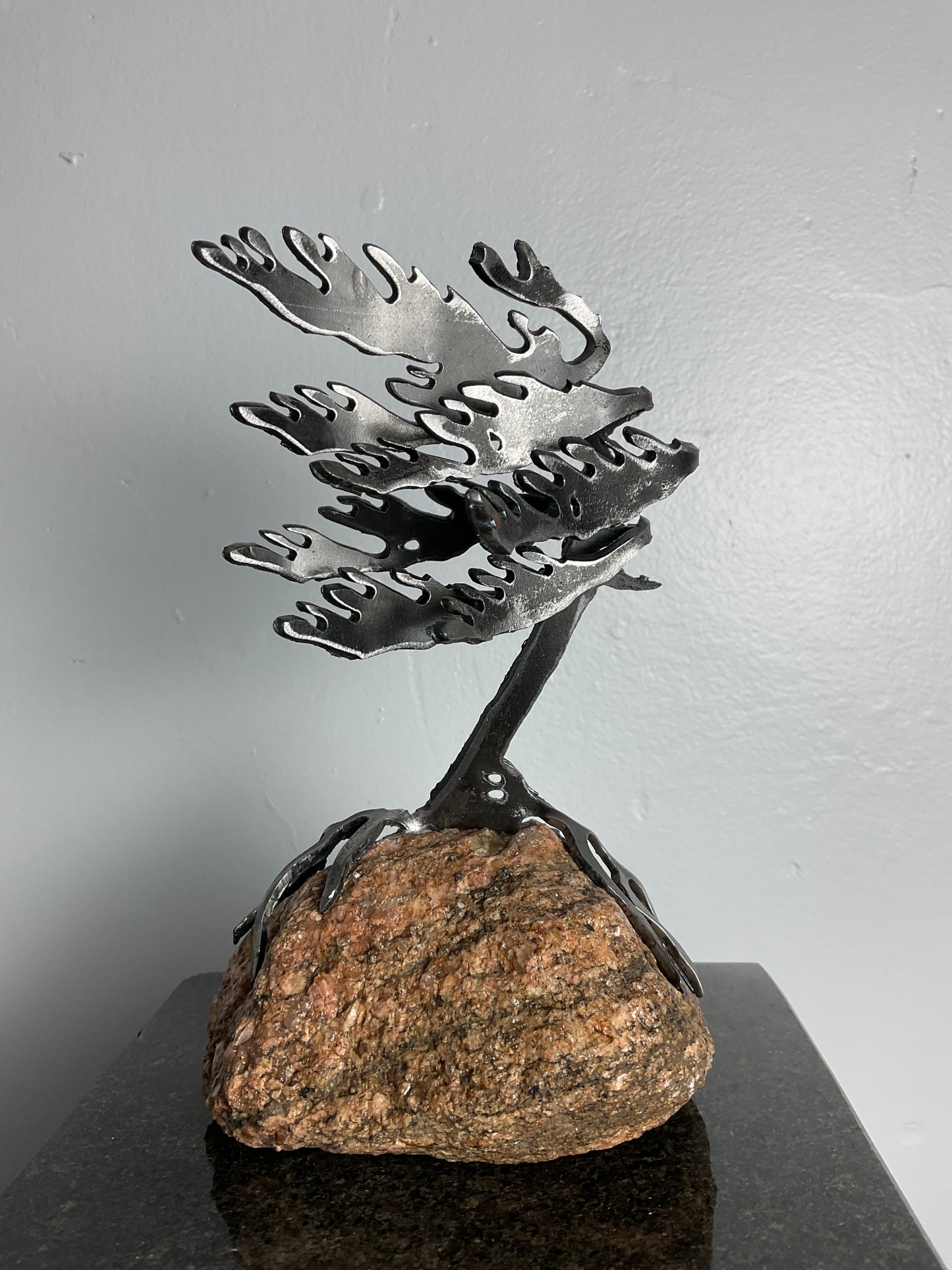 Cathy Mark windswept pine on granite