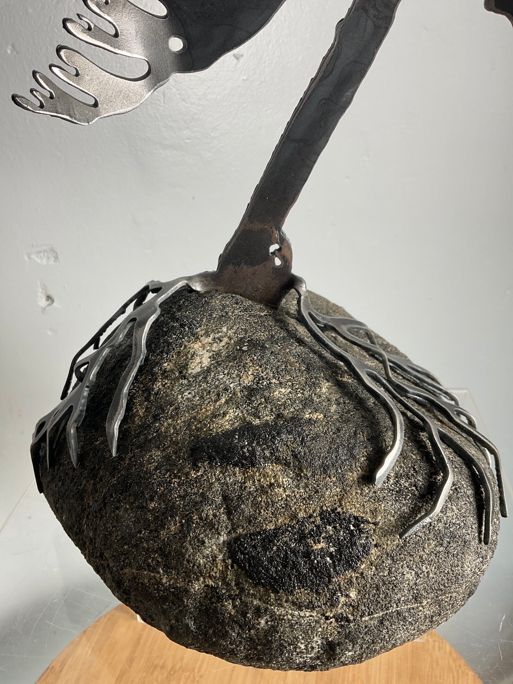 Cathy Mark windswept pine on granite
