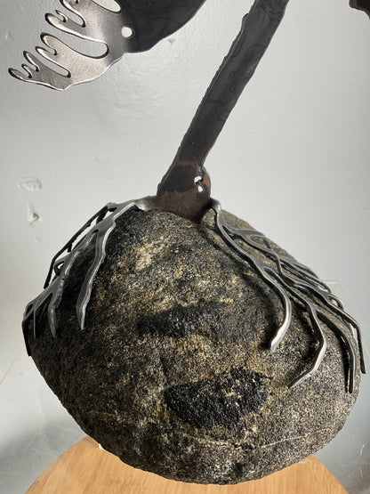 Cathy Mark windswept pine on granite
