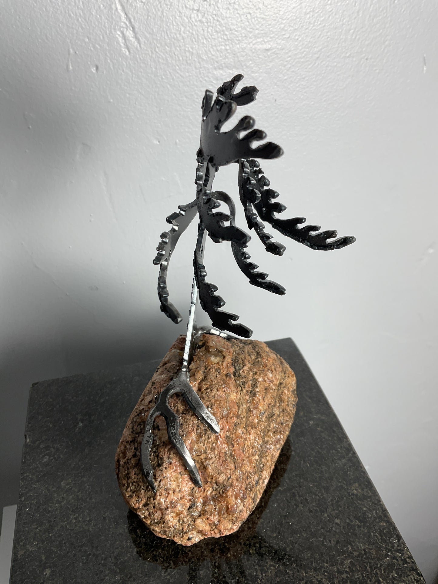 Cathy Mark windswept pine on granite