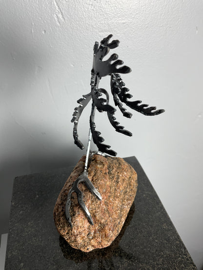 Cathy Mark windswept pine on granite
