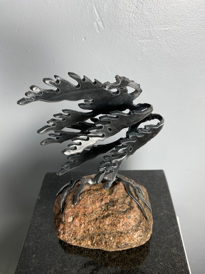 Cathy Mark windswept pine on granite