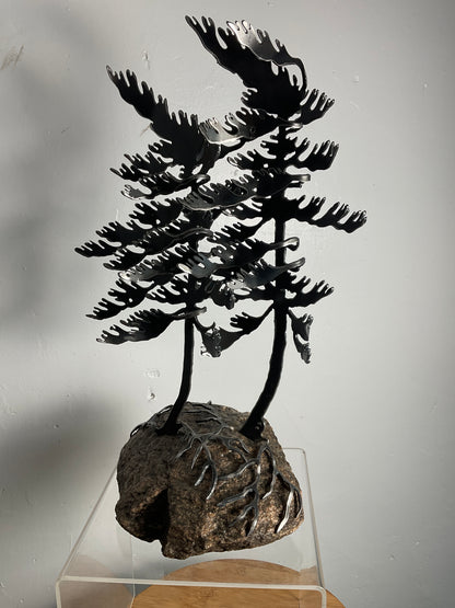 Cathy Mark windswept pine on granite