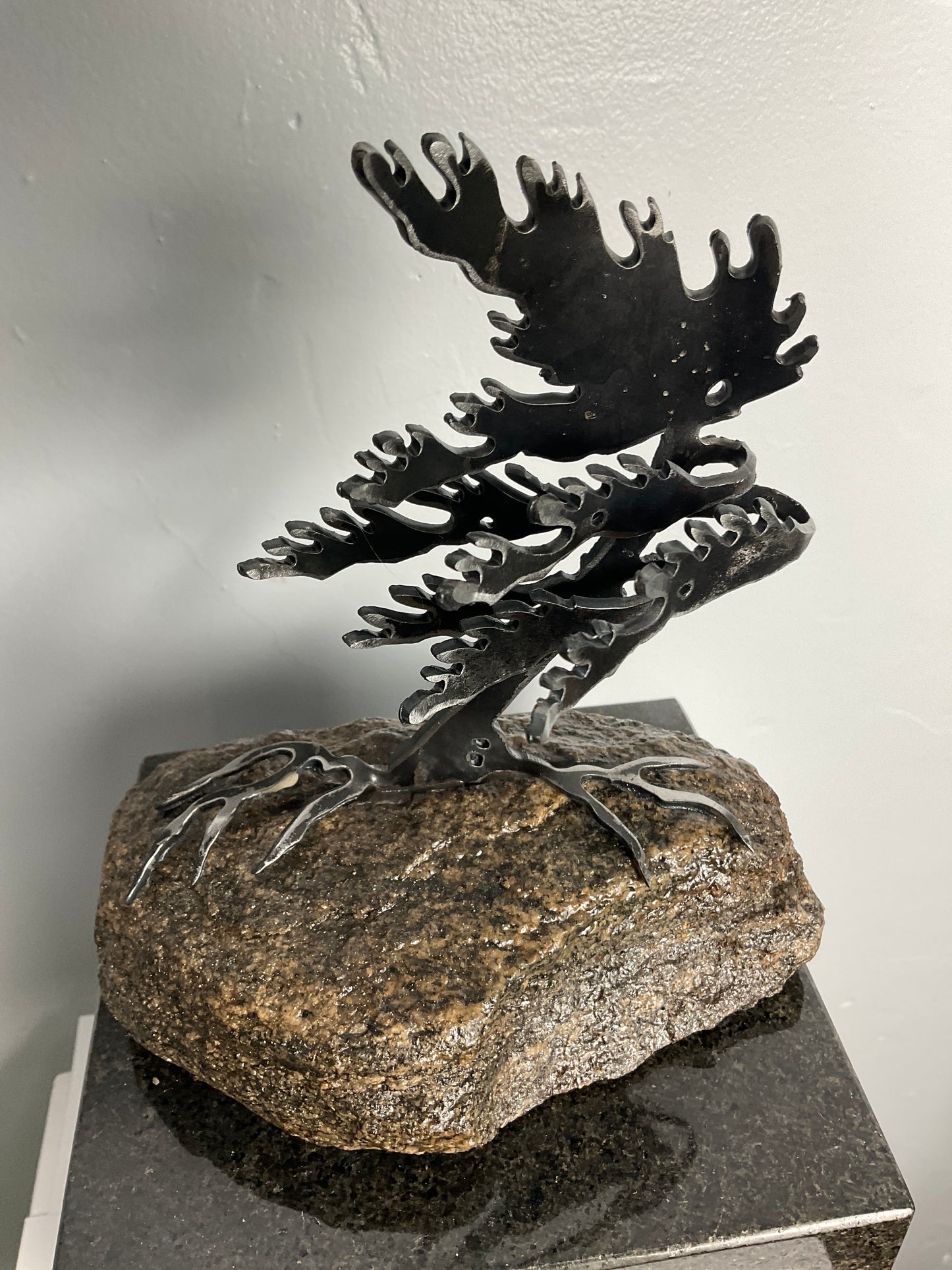 Cathy Mark windswept pine on granite