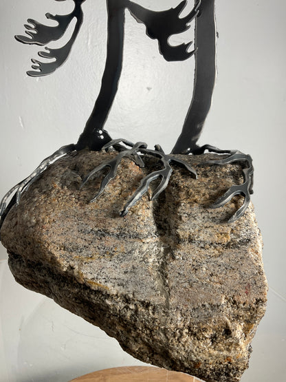 Cathy Mark windswept pine on granite