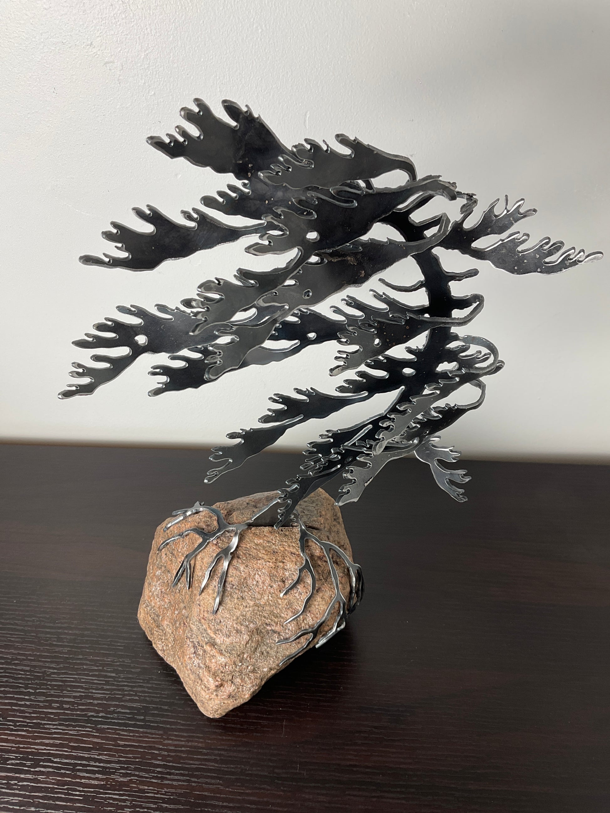 Cathy Mark windswept tree on granite