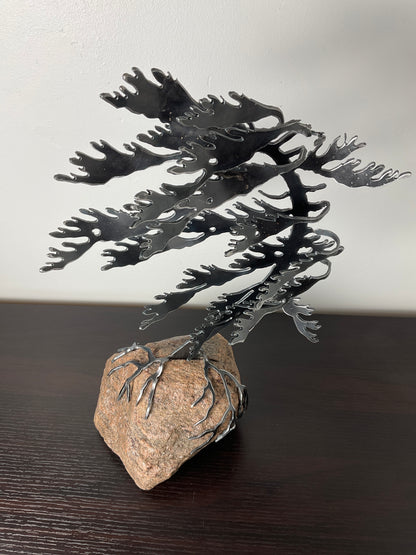 Cathy Mark windswept tree on granite