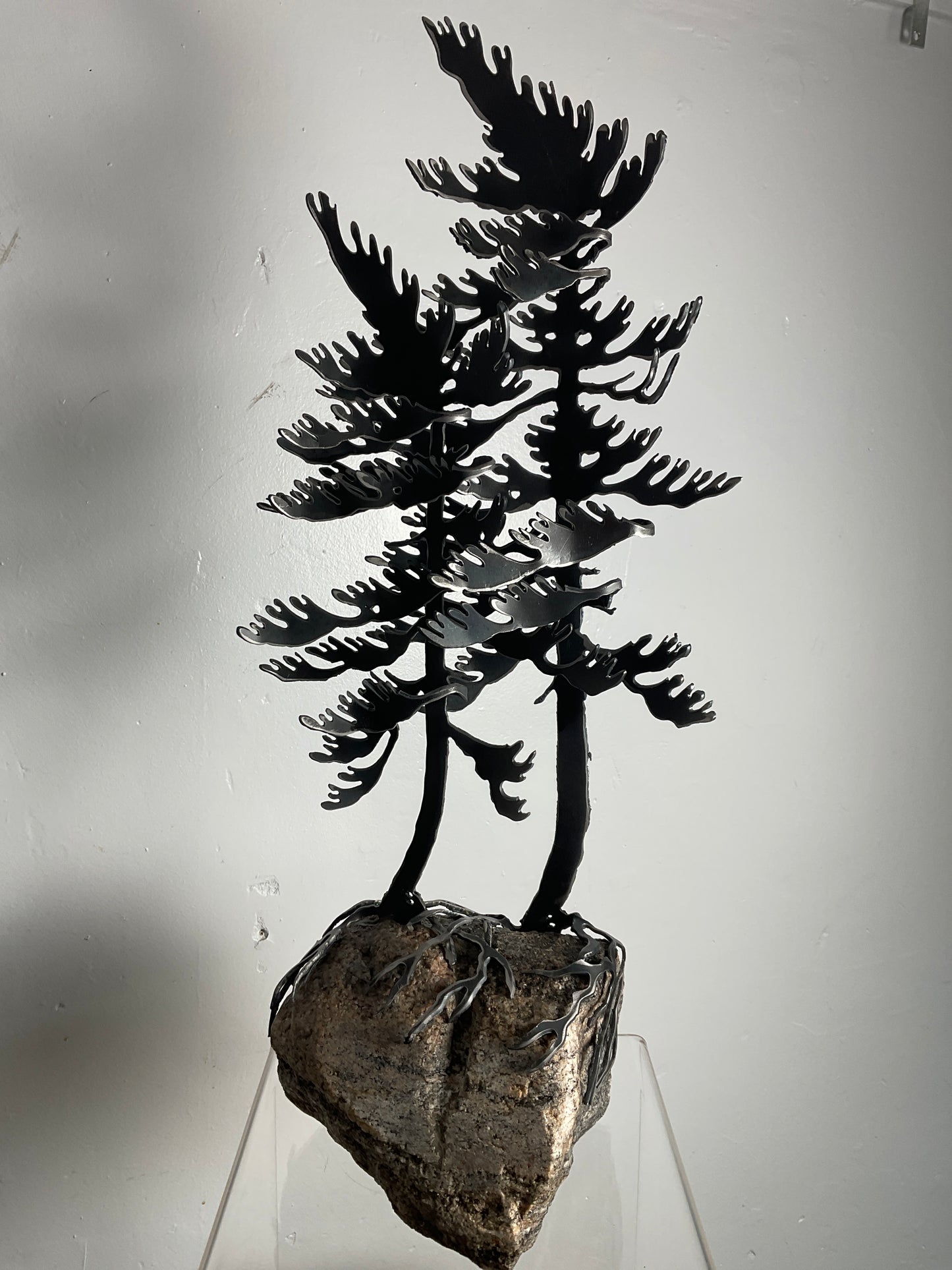 Cathy Mark windswept pine on granite