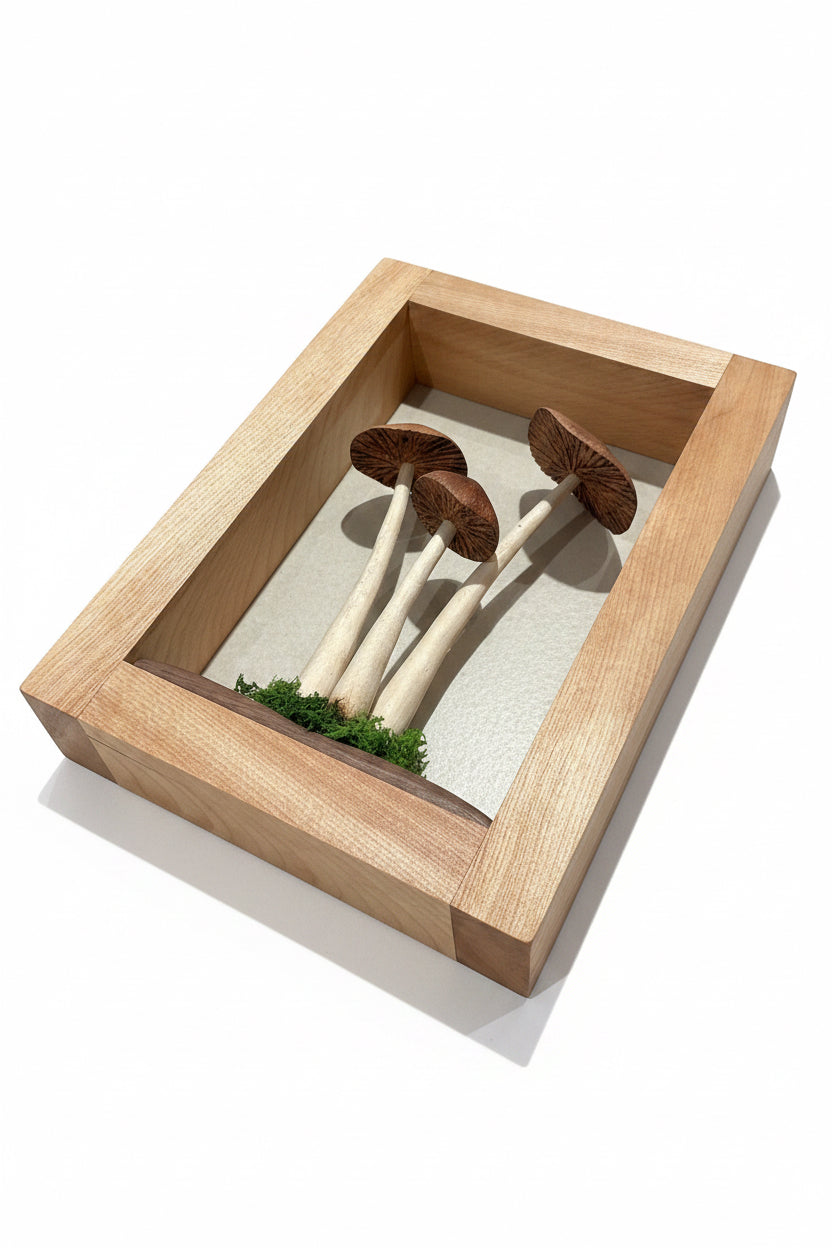 Wooden triple mushroom frame by artist Adam Mack