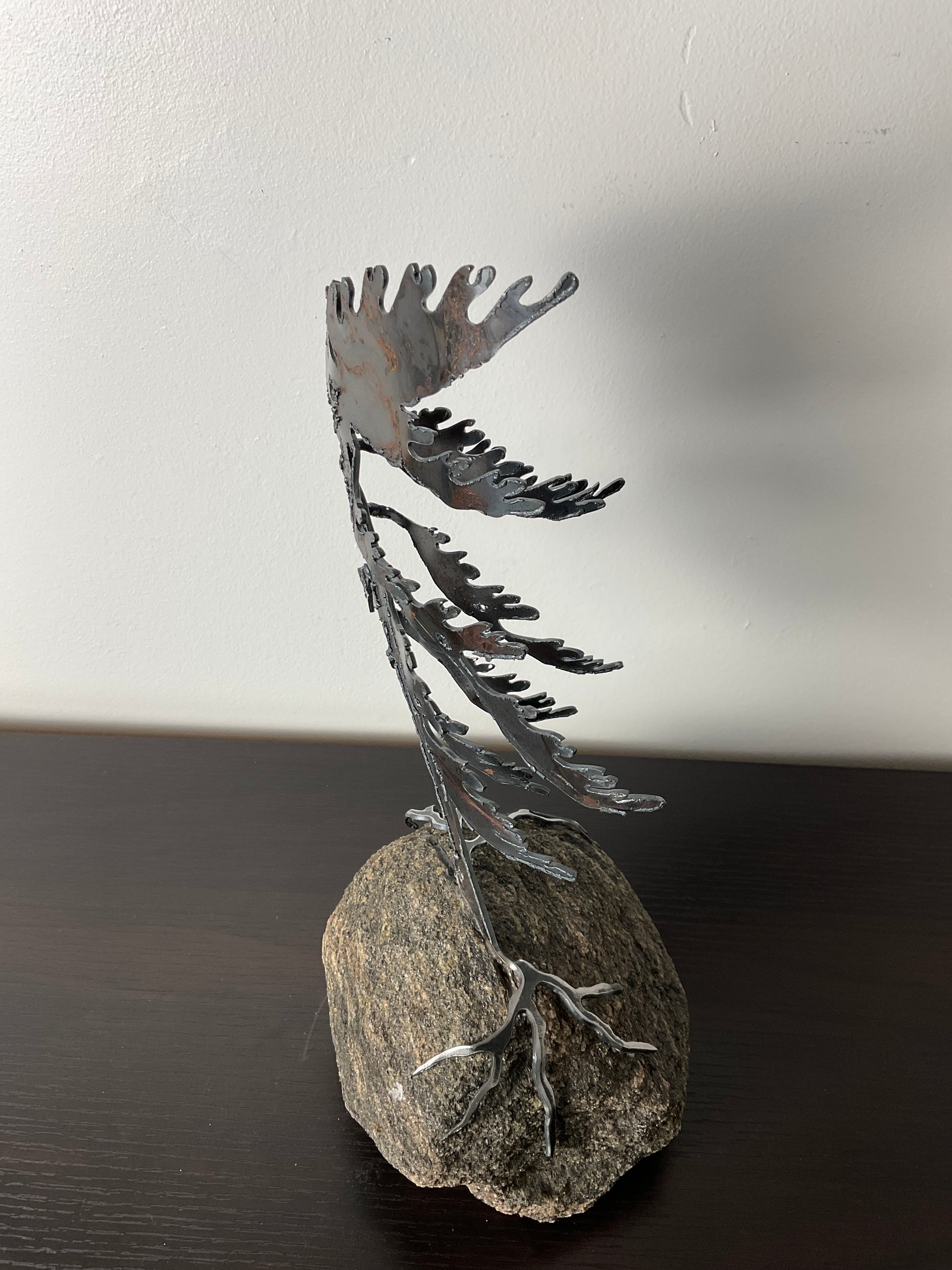 Cathy Mark windswept tree on granite