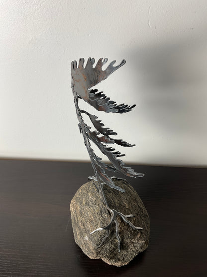 Cathy Mark windswept tree on granite