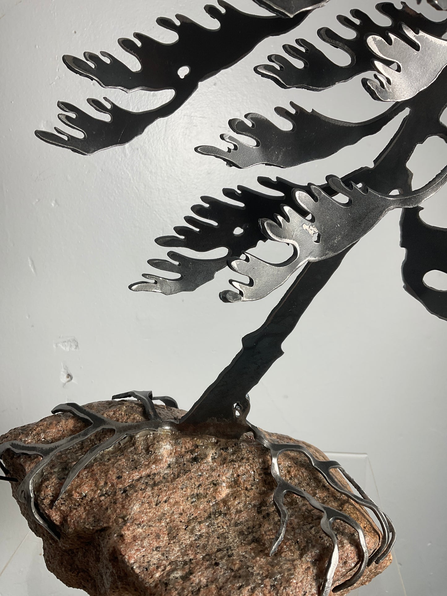 Cathy Mark windswept pine on granite