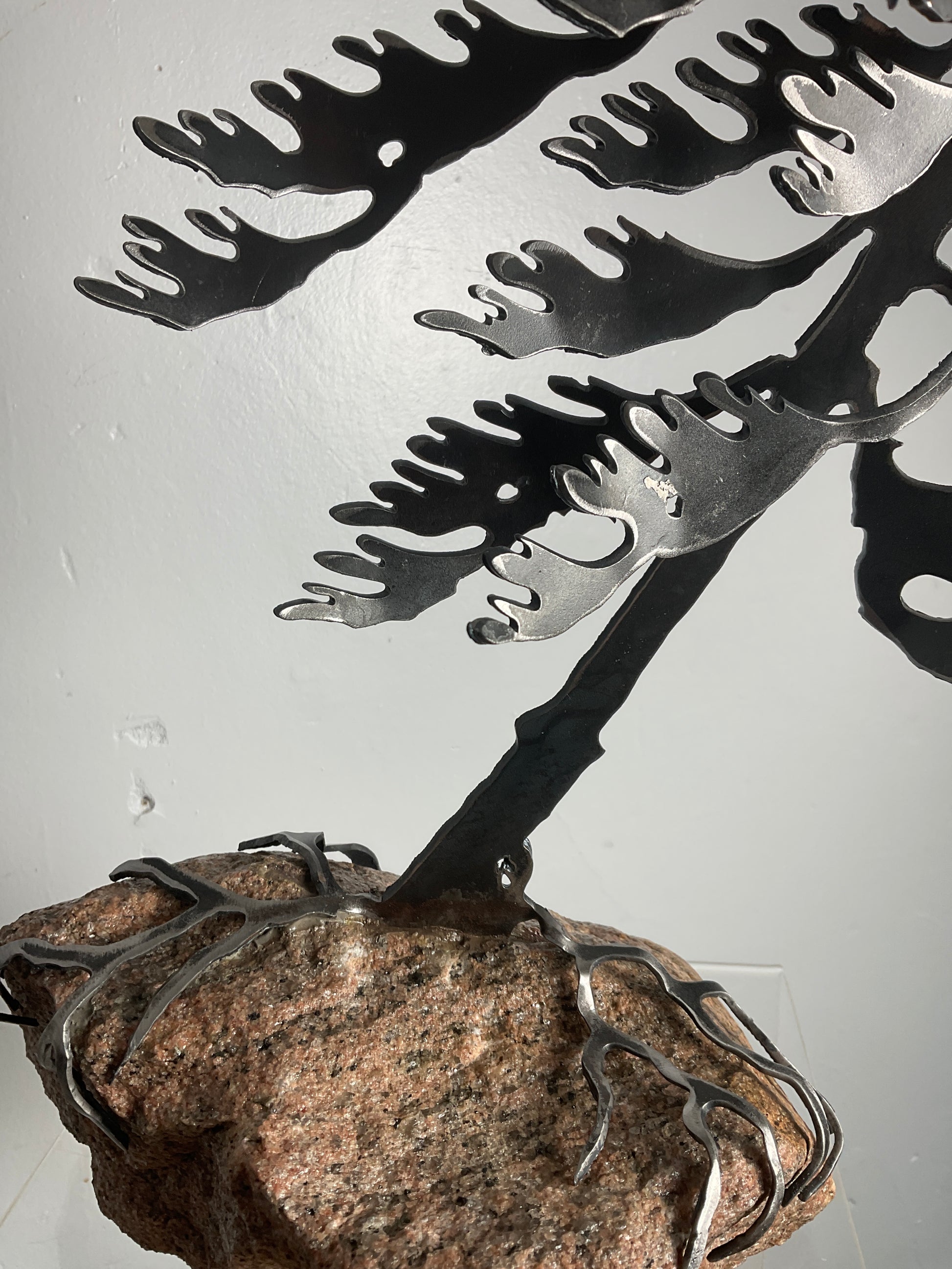 Cathy Mark windswept pine on granite