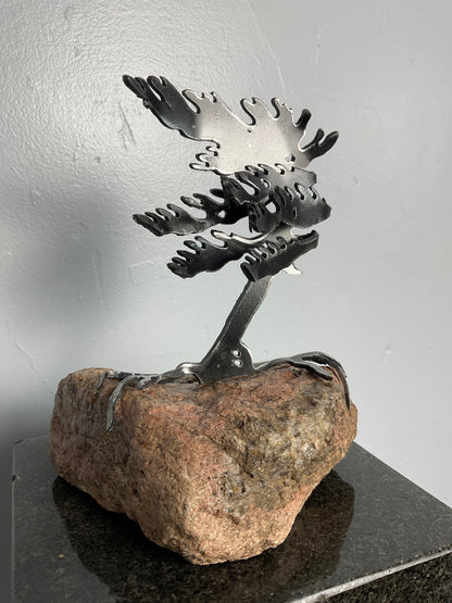 Cathy Mark windswept tree on stone