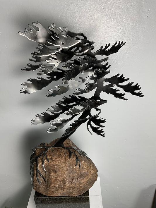 Cathy Mark windswept pine on granite