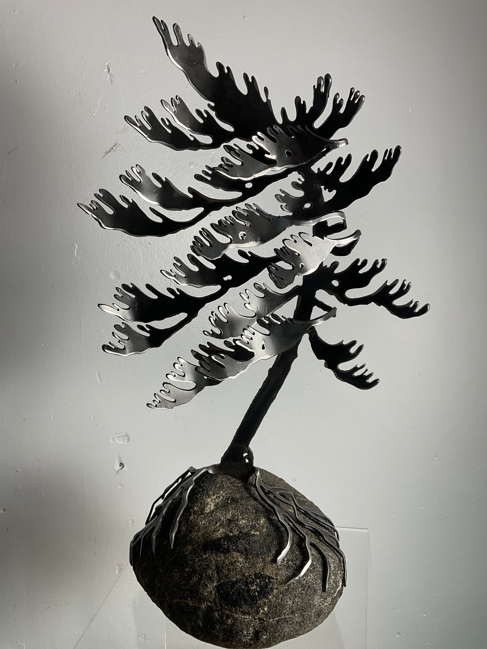Cathy Mark windswept pine on granite