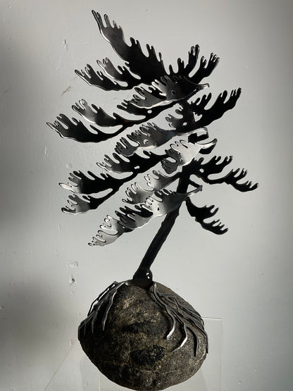 Cathy Mark windswept pine on granite