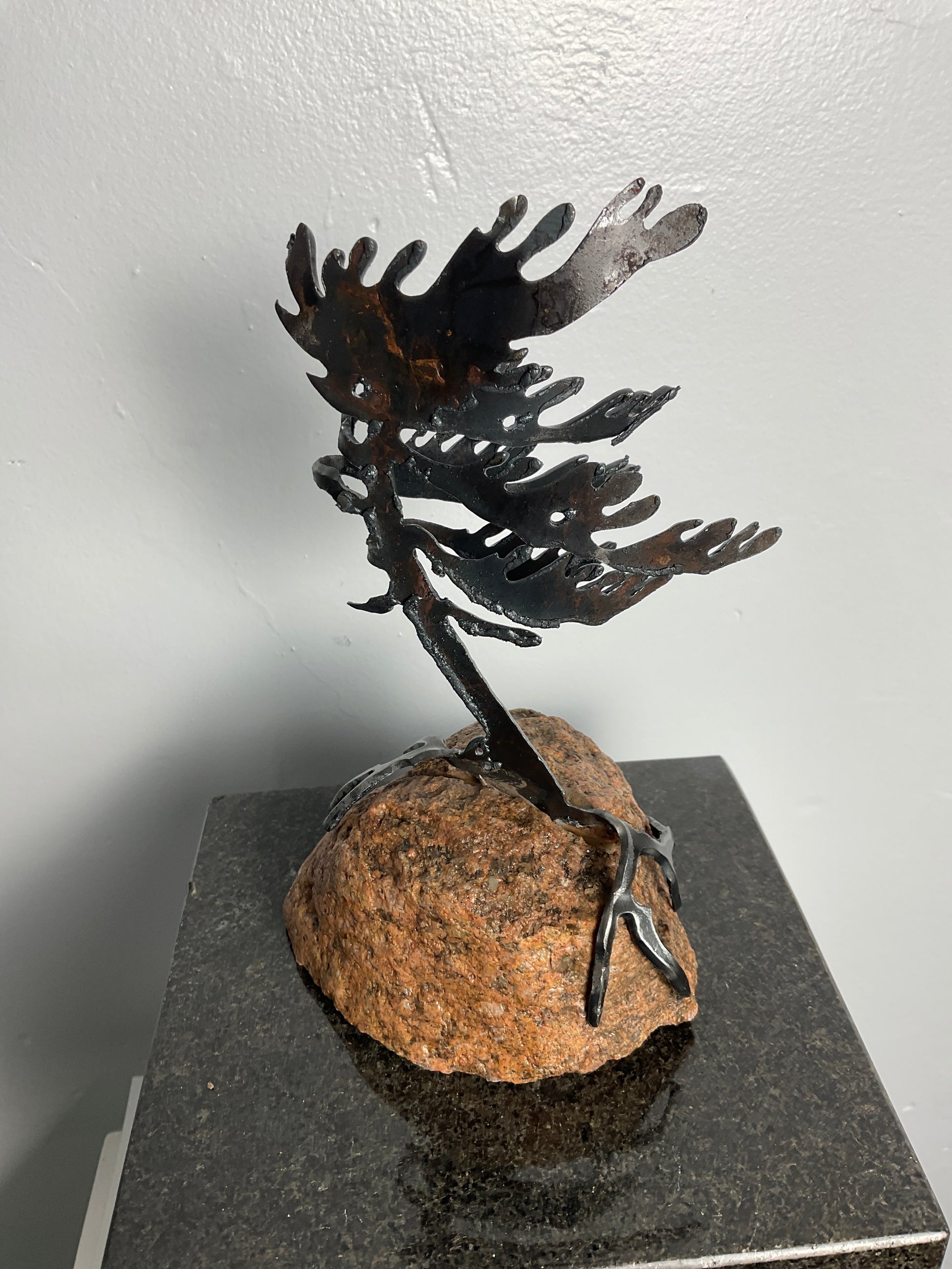 Cathy Mark windswept tree on stone