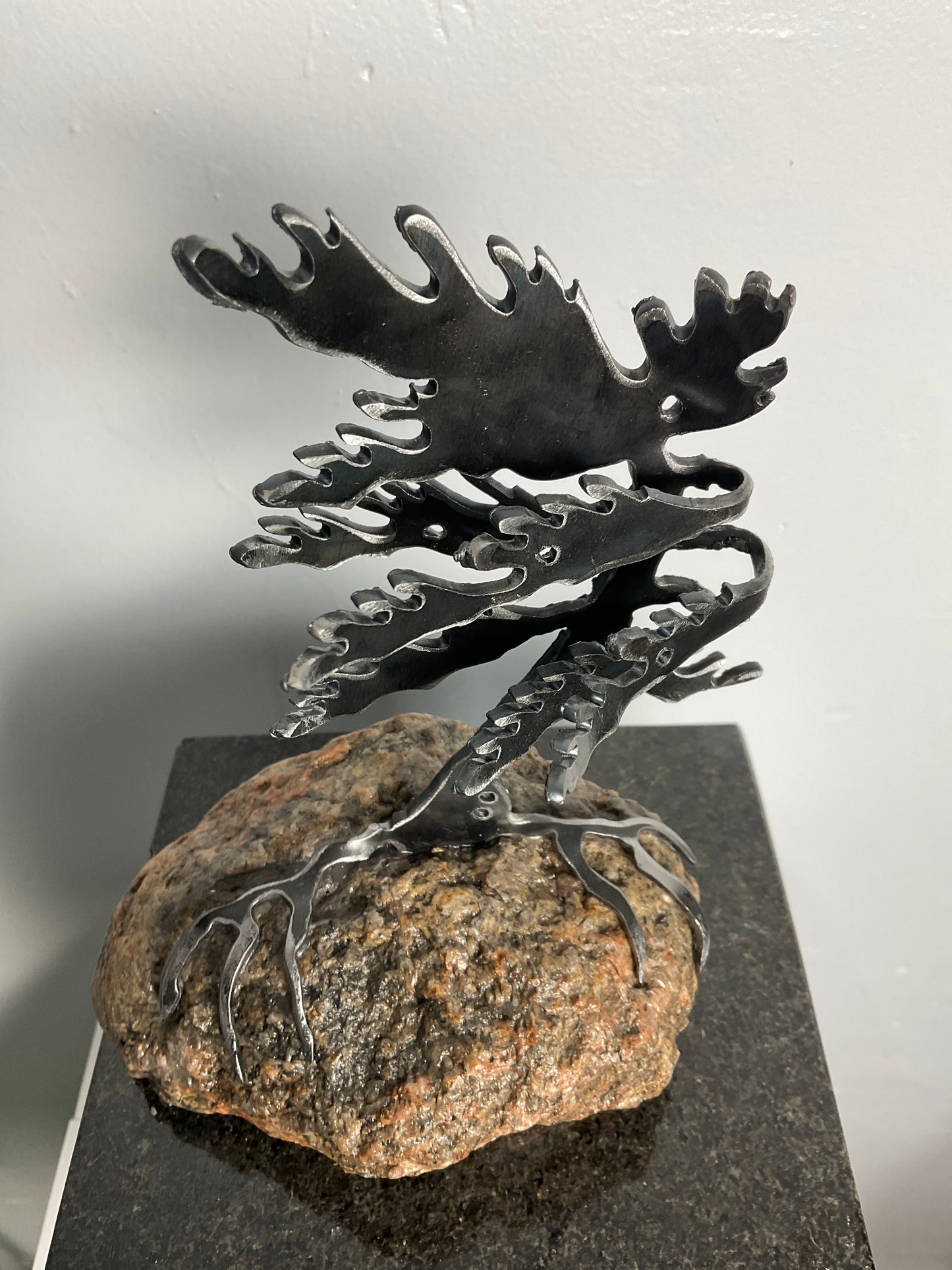 Cathy Mark windswept pine on granite