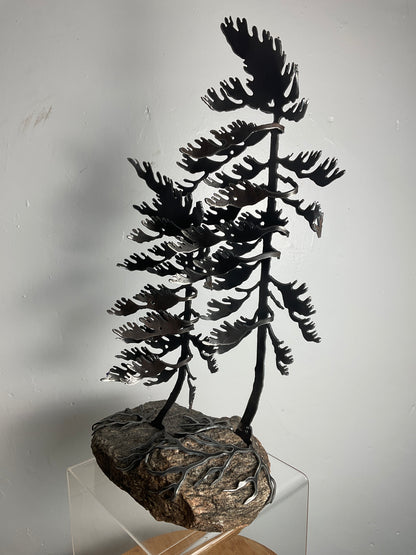 Cathy Mark windswept pines on granite