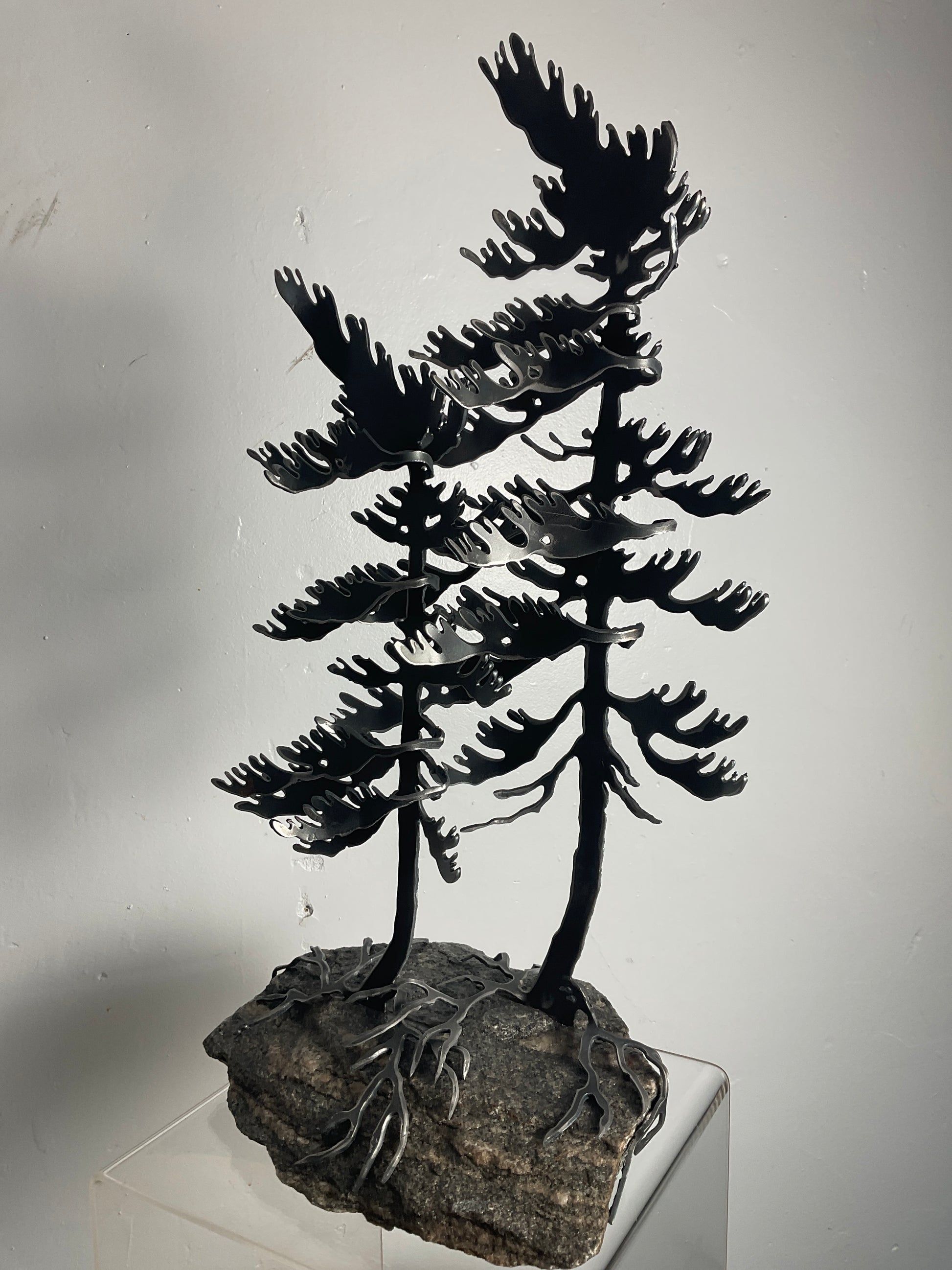 Cathy Mark windswept pine on granite