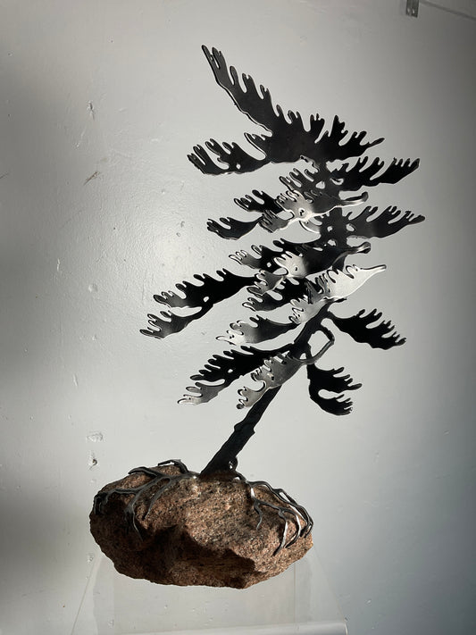 Cathy Mark windswept pine on granite