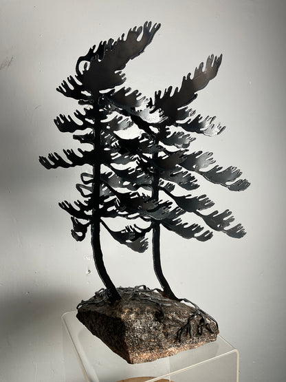 Cathy Mark windswept pine on granite