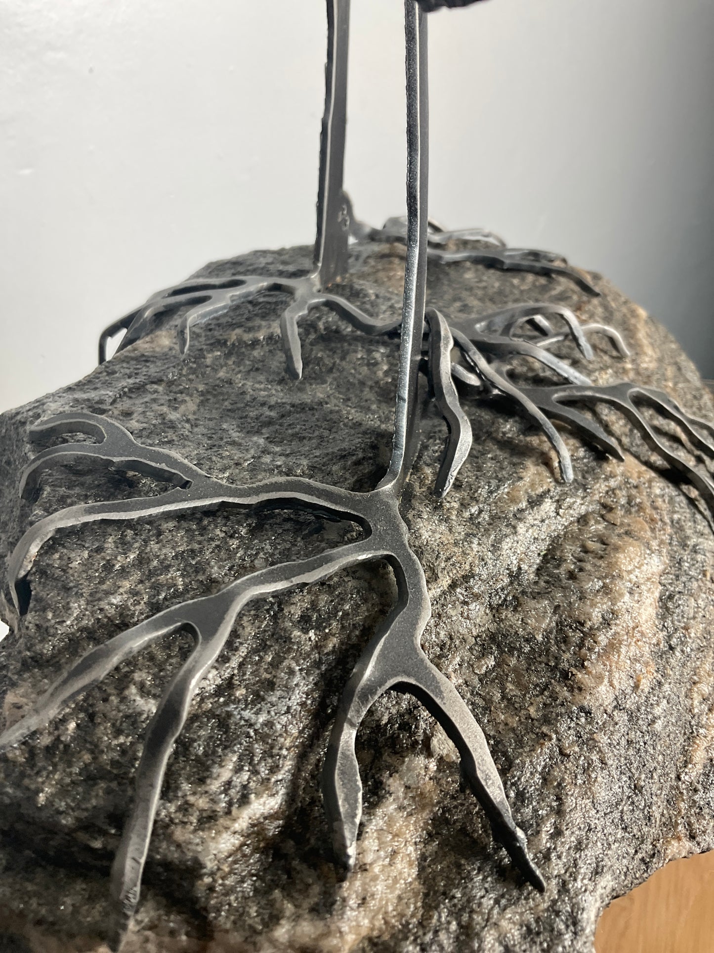 Cathy Mark windswept pine on granite