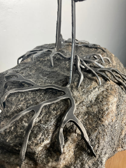 Cathy Mark windswept pine on granite