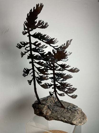 Cathy Mark windswept pines on granite