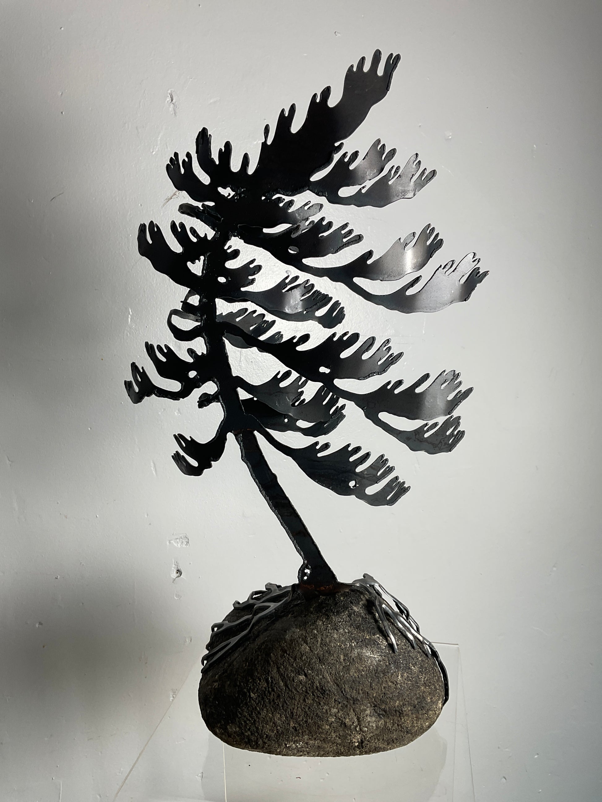 Cathy Mark windswept pine on granite