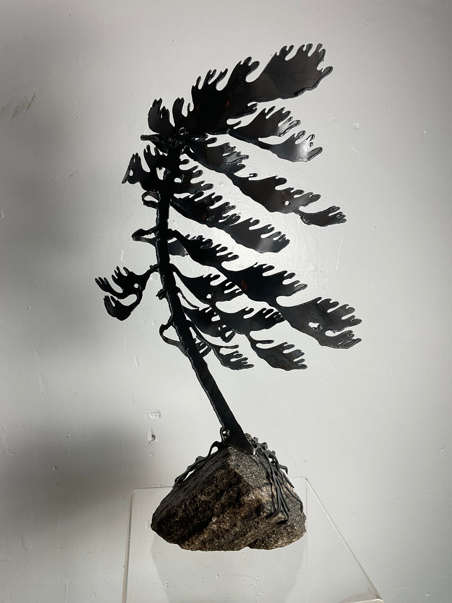 Cathy Mark windswept pine on granite